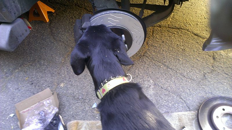 Installation Inspection