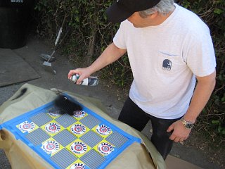 Mustang - Radiator Paint